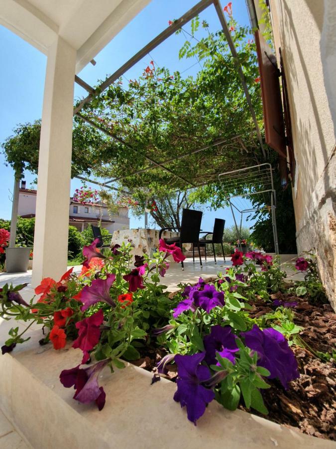 Borghetto Apartment Vinkuran